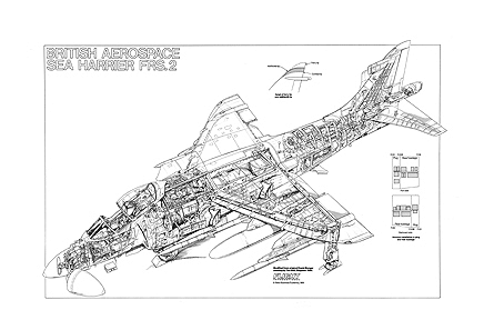 Sea Harrier cutaway W445