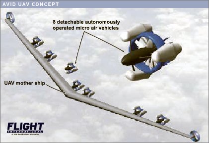 Avid UAV concept W445