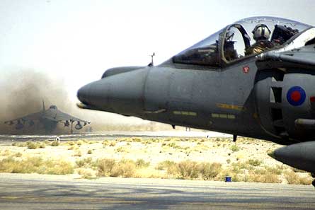 Harriers at Khadahar W445
