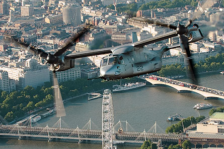 Osprey over London Eye