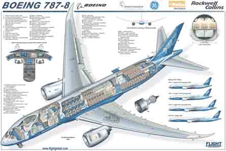 787 cutaway