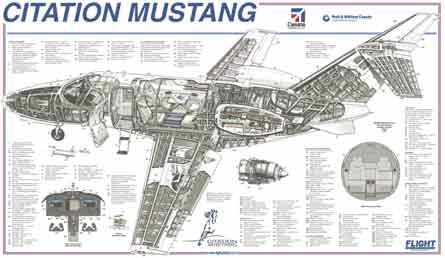 Mustang cutaway
