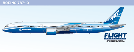 Boeing 787-10 graphic W445