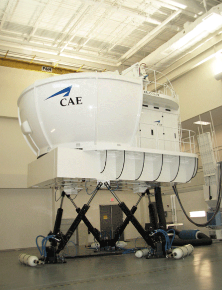 CAE simulator
