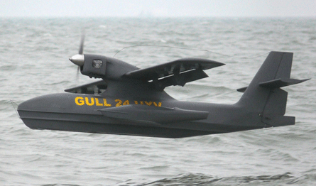 Gull-UAV