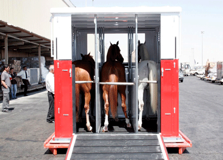 RJ-horse-boxes