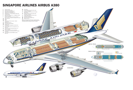 Singapore A380 cutaway 445