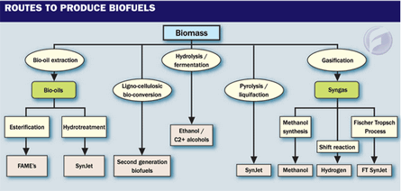 Routes to produce biofuels