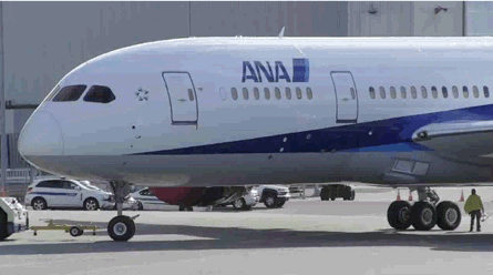 ANA 787 ZA002