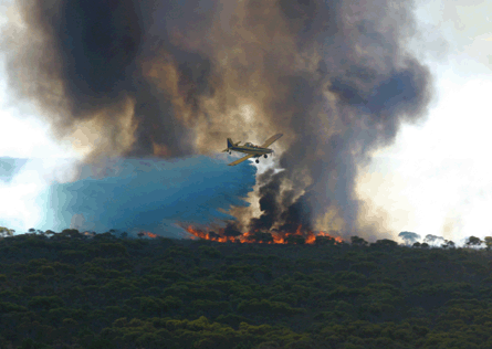 Bushfire CRC
