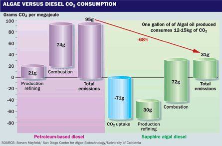Algae versus diesel CO2 consumption