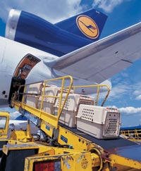 Lufthansa Cargo, ©Lufthansa Cargo