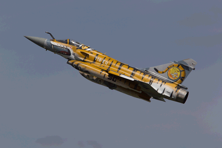 NATO Tiger French Air Force Mirage 2000