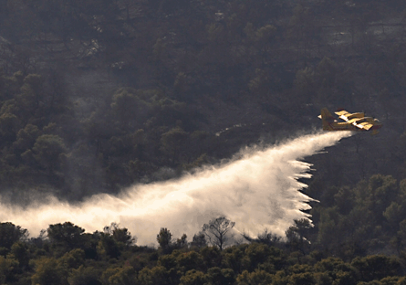 Carmel ridge firefighting