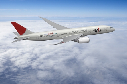 JAL 787 web