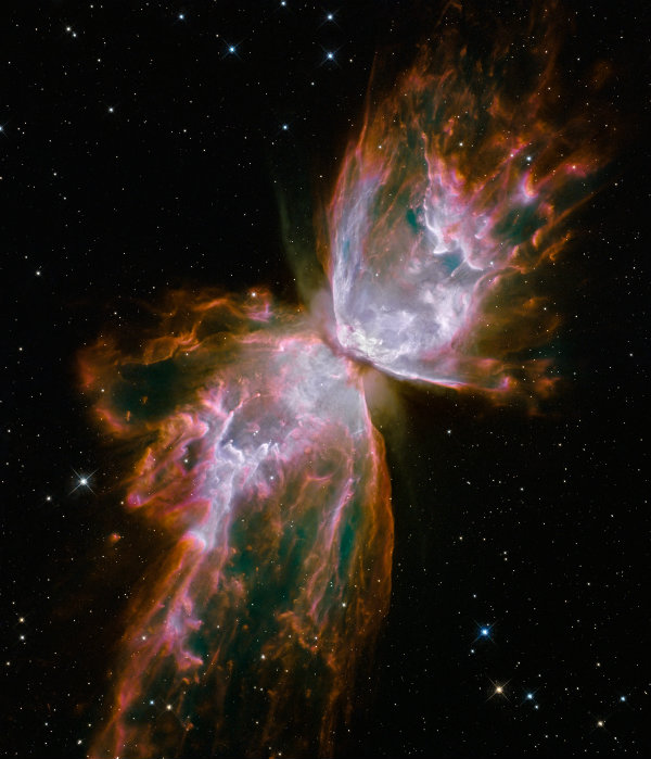 Butterfly nebulae 600