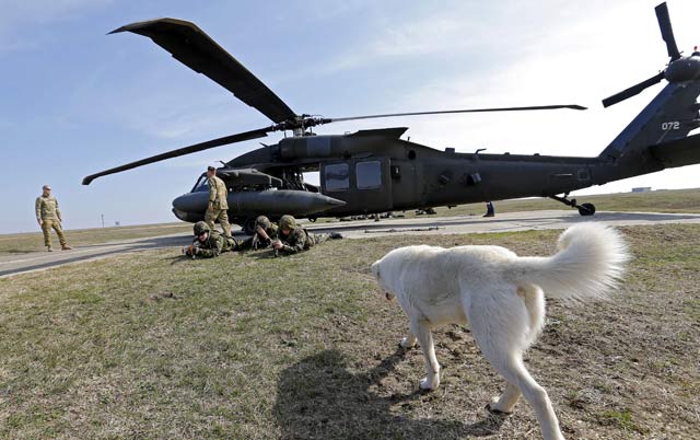 US Army UH-60 Black Hawk, Romania