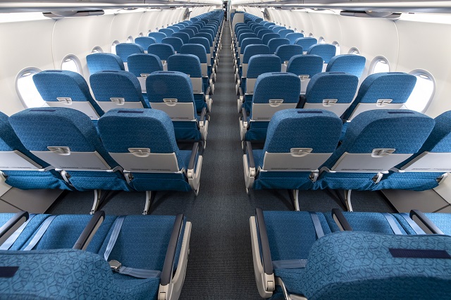Vietnam Airlines A321neo economy - pic by airline