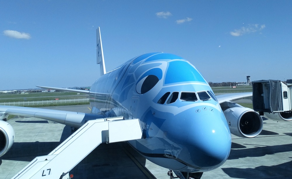 ANA A380 MSN262